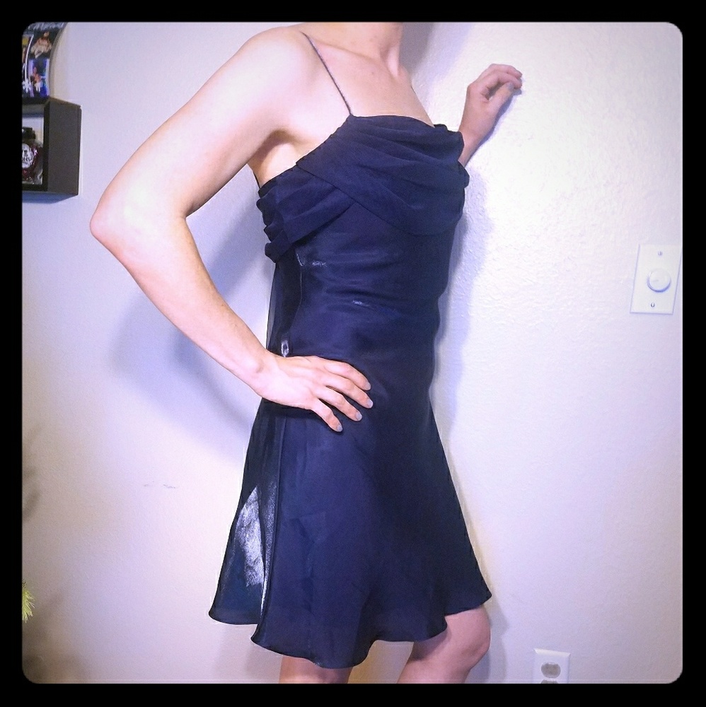 Little Blue Dollar Dress